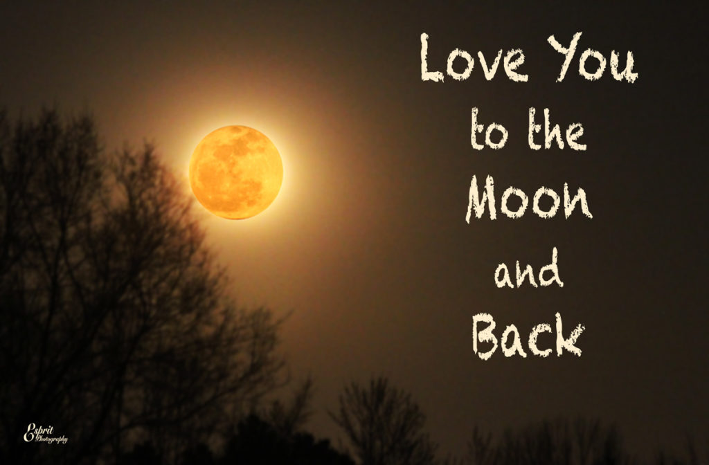 Love you to the moon and back.- Littleton, CO