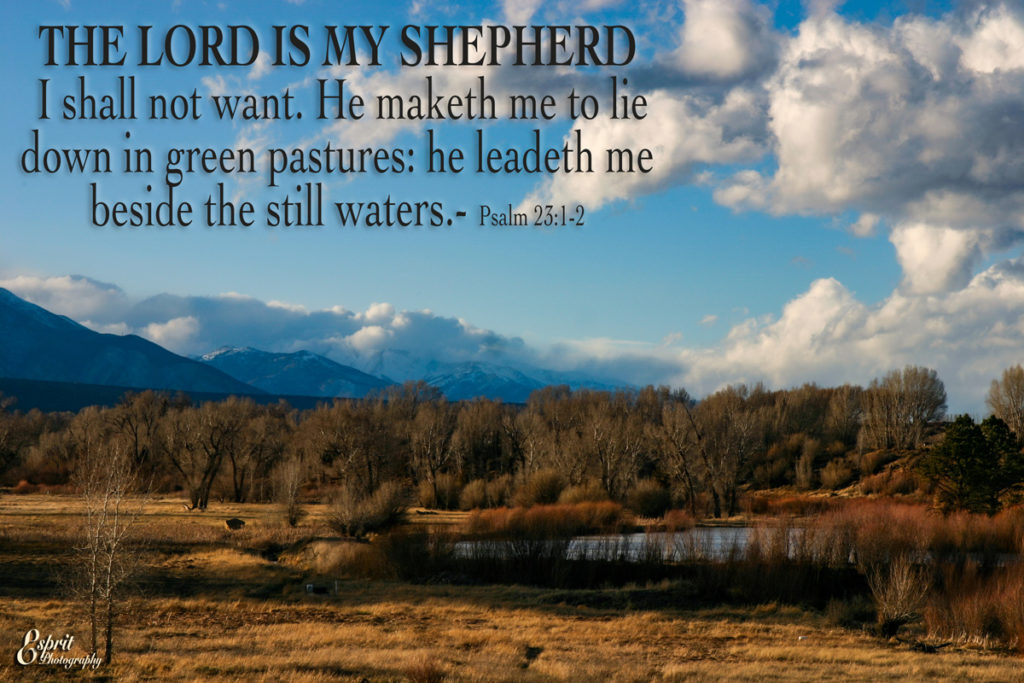 The Lord is my shepherd; I shall not want. He maketh me to lie down in green pastures: he leadeth me beside the still waters. Psalm 23:1,2 Salida, Colorado