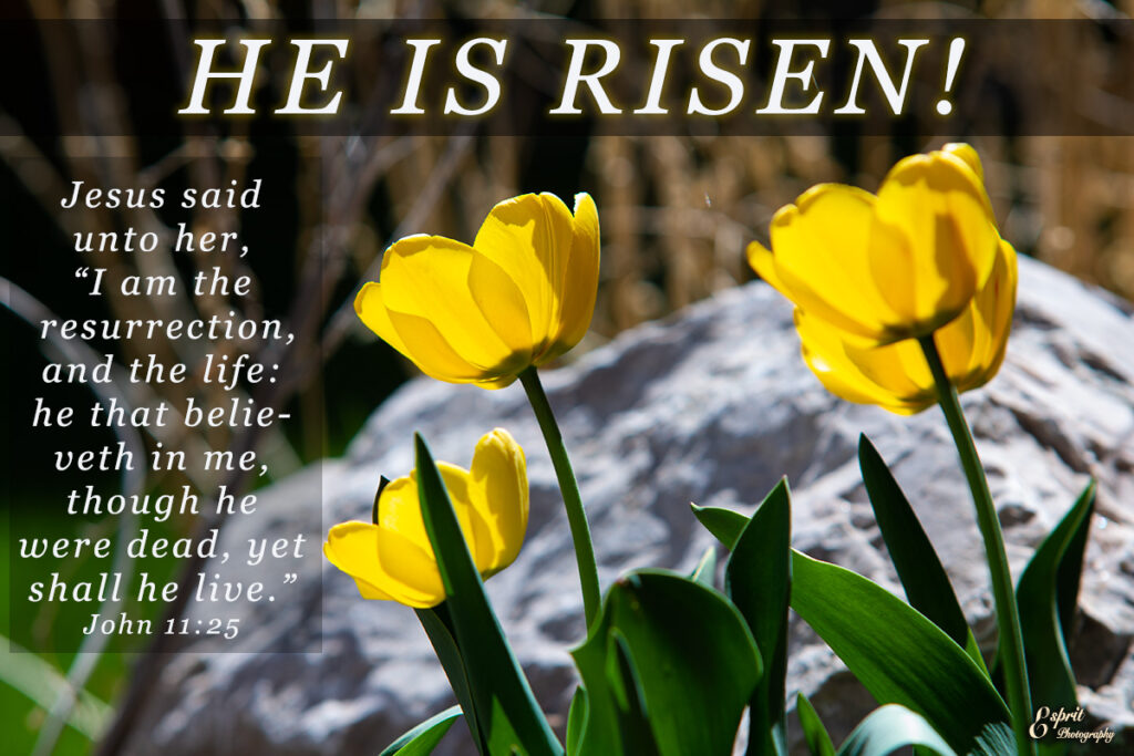 He is Risen. John 11:25